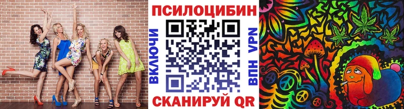 Галлюциногенные грибы Cubensis  Петровск-Забайкальский 